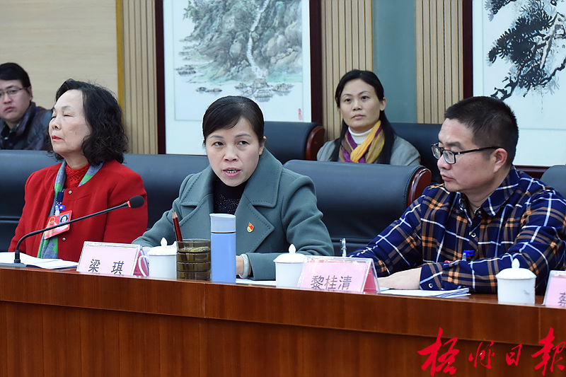 市十四屆人大三次會議各代表團繼續(xù)審議多項報告