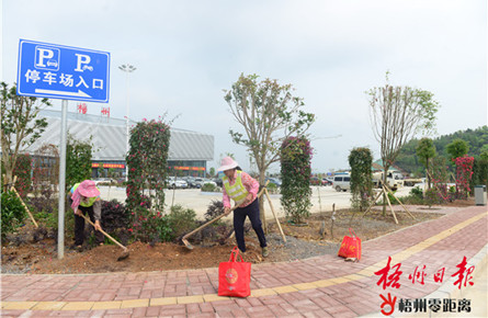綠化美化機場環境 