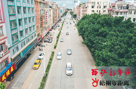 改善城區 交通環境