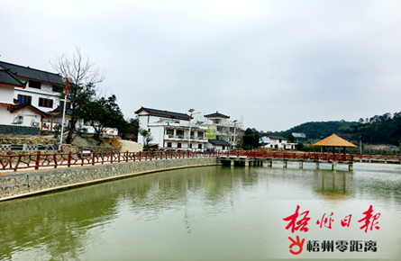 鄉村展新貌