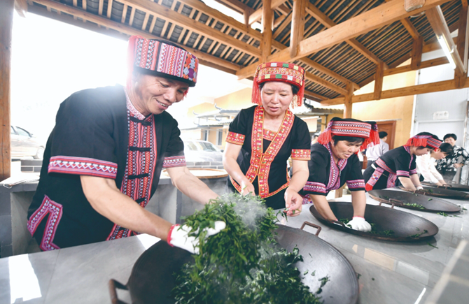 2024年蒼梧縣六堡茶開茶節(jié)活動精彩紛呈
