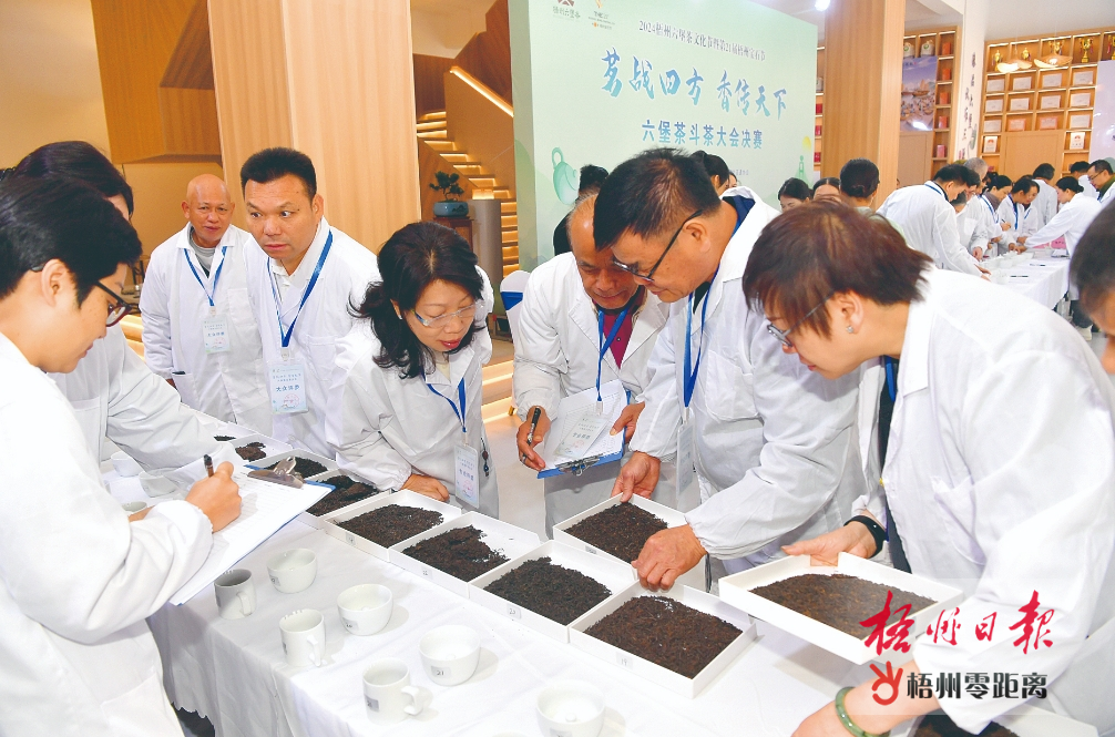 “茗戰四方 香傳天下”六堡茶斗茶大會舉行決賽