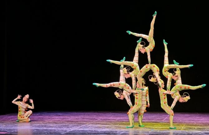 創(chuàng)意雜技劇《百越稻盛》亮相梧州