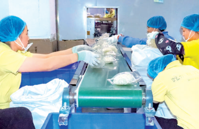 自動化生產干河粉